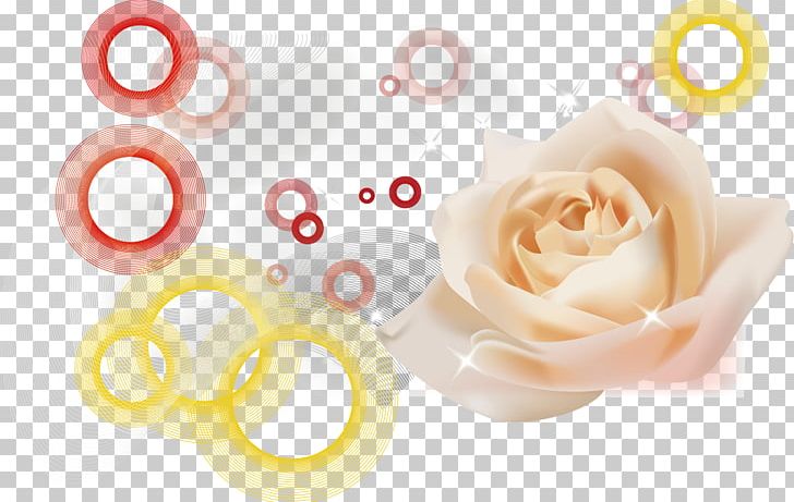 Beach Rose White Pink PNG, Clipart, Background White, Black White, Circle, Creativity, Designer Free PNG Download