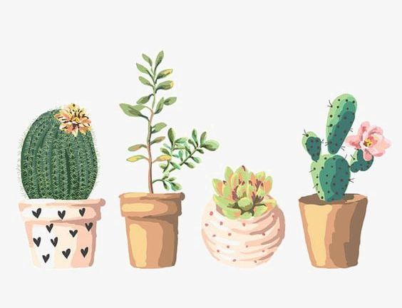 Cactus PNG, Clipart, Bonsai, Cactus Clipart, Cartoon, Desert, Hand Free PNG Download