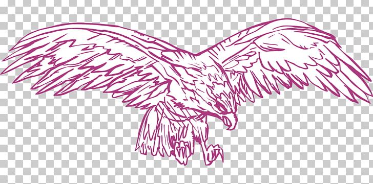 Drawing Bird Eagle PNG, Clipart, Animals, Arm, Art, Artwork, Bald Eagle Free PNG Download