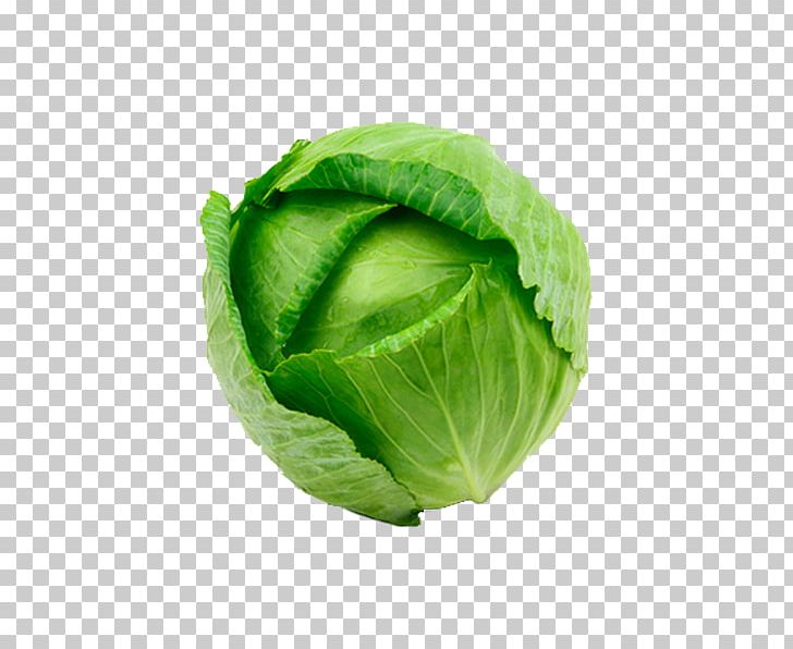 Romaine Lettuce Savoy Cabbage Cruciferous Vegetables Spring Greens Collard Greens PNG, Clipart, Background, Brassica Oleracea, Cabbage, Capitata Group, Cauliflower Free PNG Download