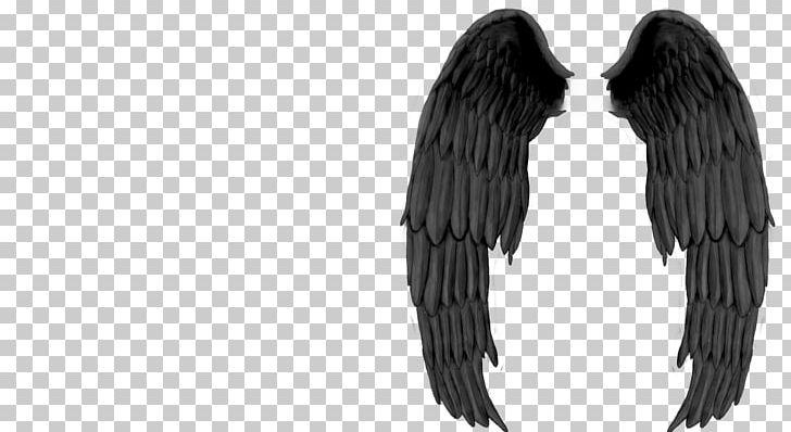 Devil Angel PNG, Clipart, Angel, Black, Black And White, Computer Icons, Demon Free PNG Download
