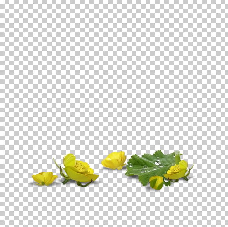 Graphic Animation Good PNG, Clipart, Animation, Art, Cartoon, Digital Art, Flower Free PNG Download