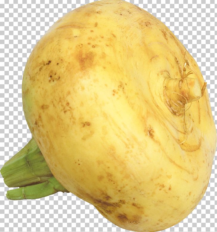 Turnip Root Vegetables Garlic Raphanus PNG, Clipart, Brassica Rapa, Cartoon Garlic, Chili Garlic, Food, Fruit Free PNG Download