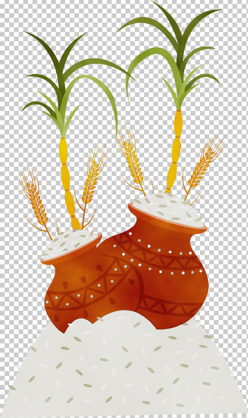 Pineapple PNG, Clipart, Biology, Flowerpot, Paint, Pineapple, Plants Free PNG Download