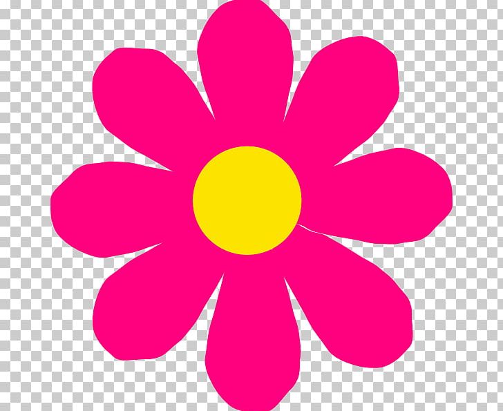Pink Flowers Free PNG, Clipart, Carnation, Cartoon, Circle, Common Daisy, Dahlia Free PNG Download