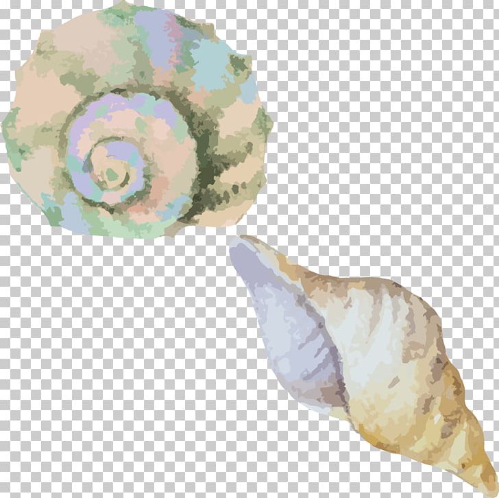 Sea Snail Conch Seashell PNG, Clipart, 3d Computer Graphics, Adobe Illustrator, Cartoon, Conchology, Conch Vector Free PNG Download