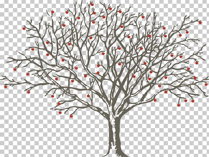 Tree Oak PNG, Clipart, Alexandria, Alpha Compositing, Berry, Black And White, Botany Free PNG Download
