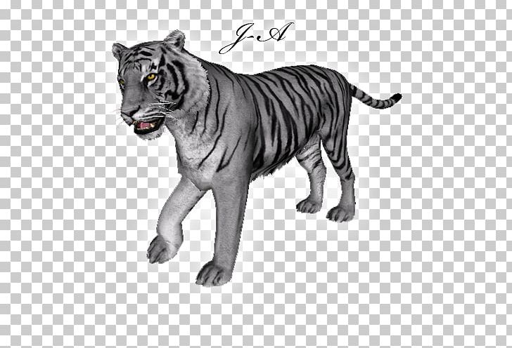 Tiger Lion Whiskers Puma Wildlife PNG, Clipart, Animal, Animal Figure, Animals, Big Cats, Black And White Free PNG Download