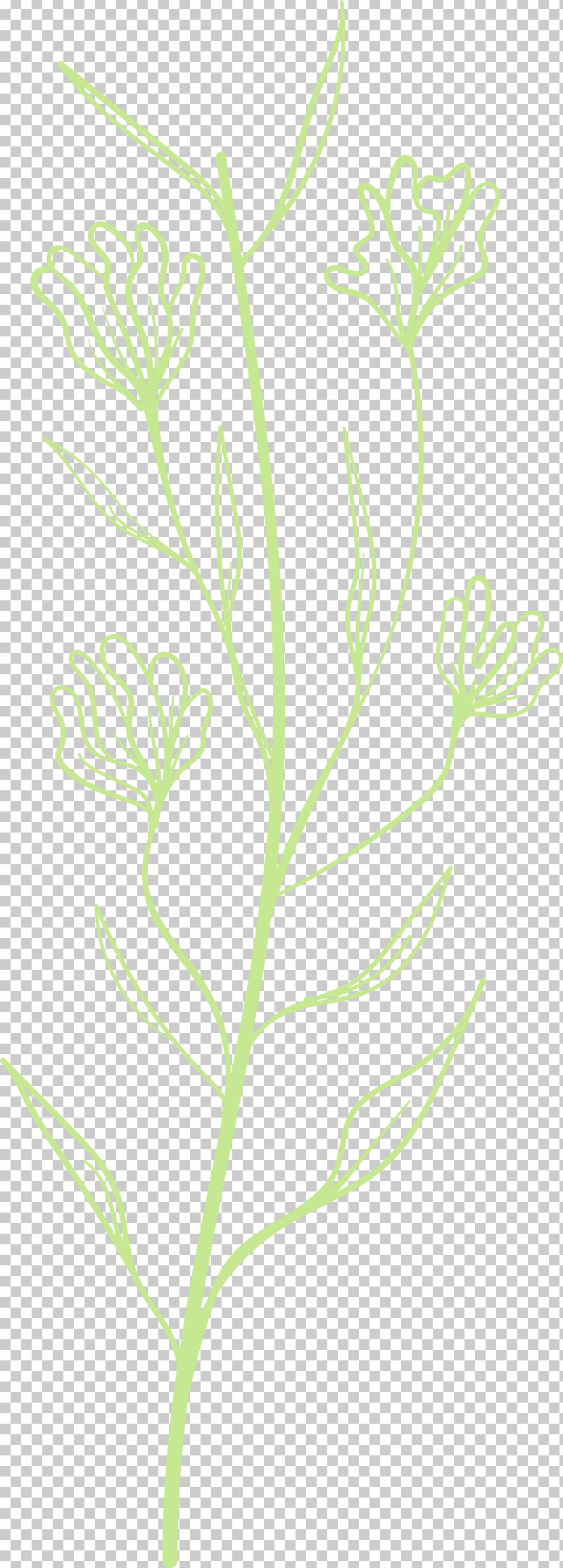 Simple Leaf Simple Leaf Drawing Simple Leaf Outline PNG, Clipart, Branch, Flower, Grasses, Herbaceous Plant, Leaf Free PNG Download