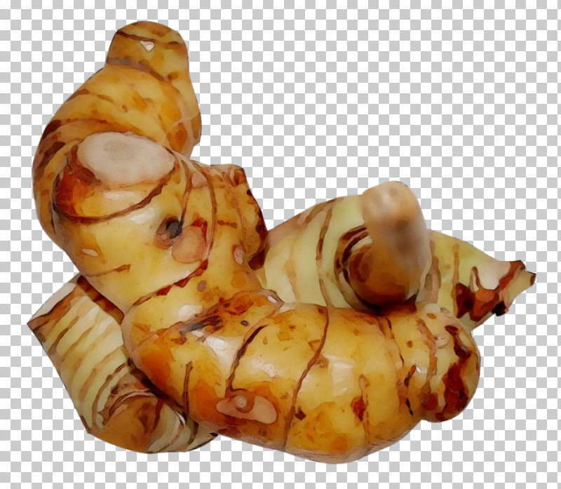 Galangal Tuber Ingredient PNG, Clipart, Galangal, Ingredient, Paint, Tuber, Watercolor Free PNG Download