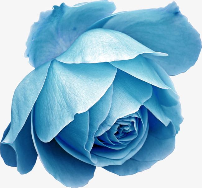 Beautiful Blue Flower Decoration PNG, Clipart, Beautiful Clipart, Blue, Blue Clipart, Creative, Decoration Free PNG Download