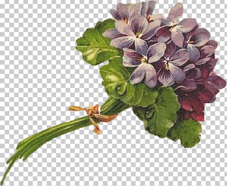 Cut Flowers Flower Bouquet Violet PNG, Clipart, Annual Plant, Cut Flowers, Download, Embroidery, Fantasia Free PNG Download