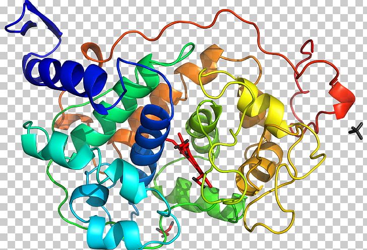 Lignin-modifying Enzyme Coprinus Coprinopsis Atramentaria Peroxidase Fungus PNG, Clipart, Area, Artwork, Coprinopsis Atramentaria, Coprinus, Enzyme Free PNG Download