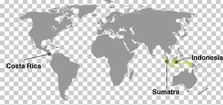 World Map Globe PNG, Clipart, Area, Atlas, Black And White, Blank Map, Can Stock Photo Free PNG Download