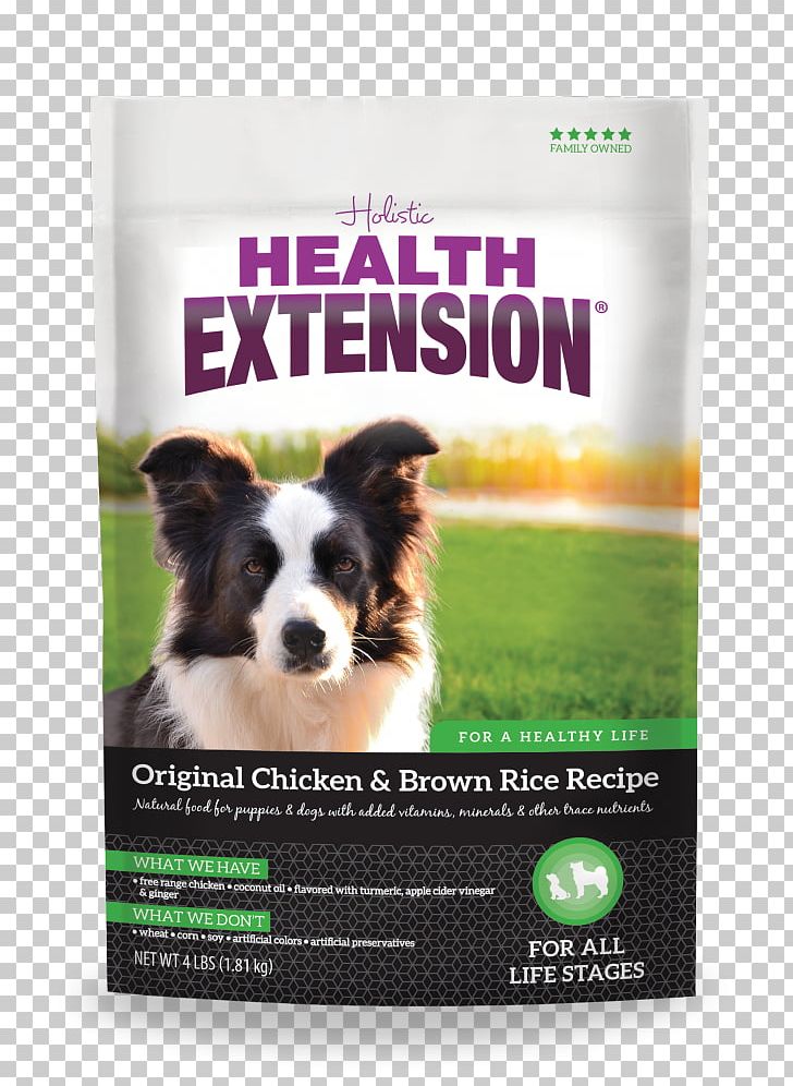 Dog Breed Health Extension Pet Care Dog Food PNG, Clipart, Advertising, Alternative Health Services, Animals, Cereal, Companion Dog Free PNG Download