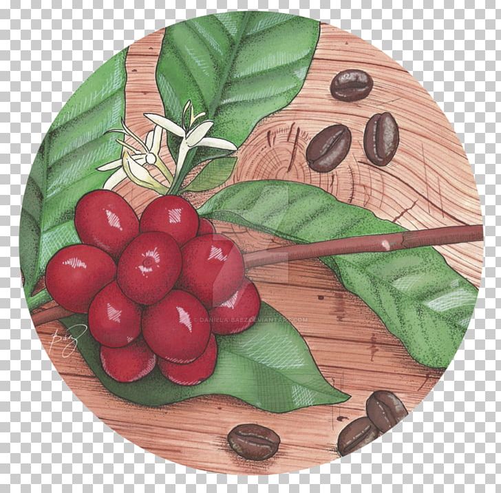 Cranberry Arabica Coffee Art Deco PNG, Clipart, Arabica Coffee, Art, Art Deco, Berry, Coffea Free PNG Download
