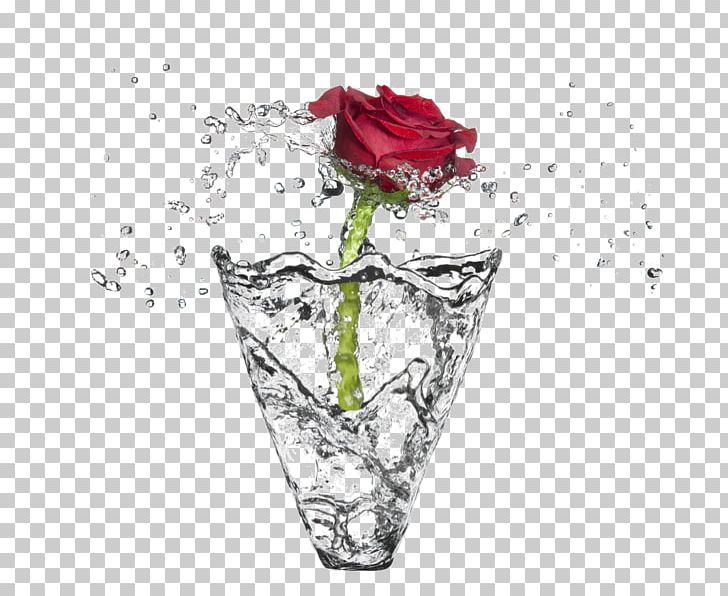 Garden Roses Rose Water PNG, Clipart, Art, Beach Rose, Cut Flowers, Digital Art, Flower Free PNG Download