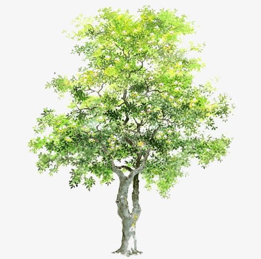 Trees Transparent Material Psd Material Trees PNG, Clipart, Cartoon, Cartoon Tree Element, Draw, Element, Green Free PNG Download