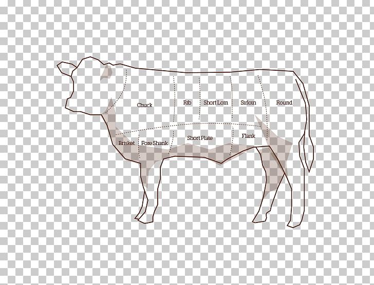 Dairy Cattle Beef Cattle Cut Of Beef Butcher PNG, Clipart, Angle, Beef, Beef Cattle, Brisket, Butcher Free PNG Download