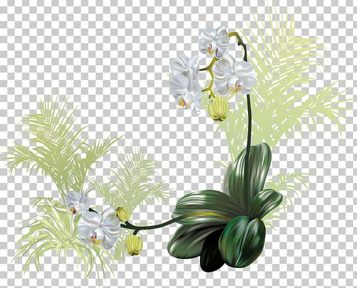 Flower Orchids PNG, Clipart, Artificial Flower, Computer Graphics, Cut Flowers, Delicate Vector, Floral Free PNG Download