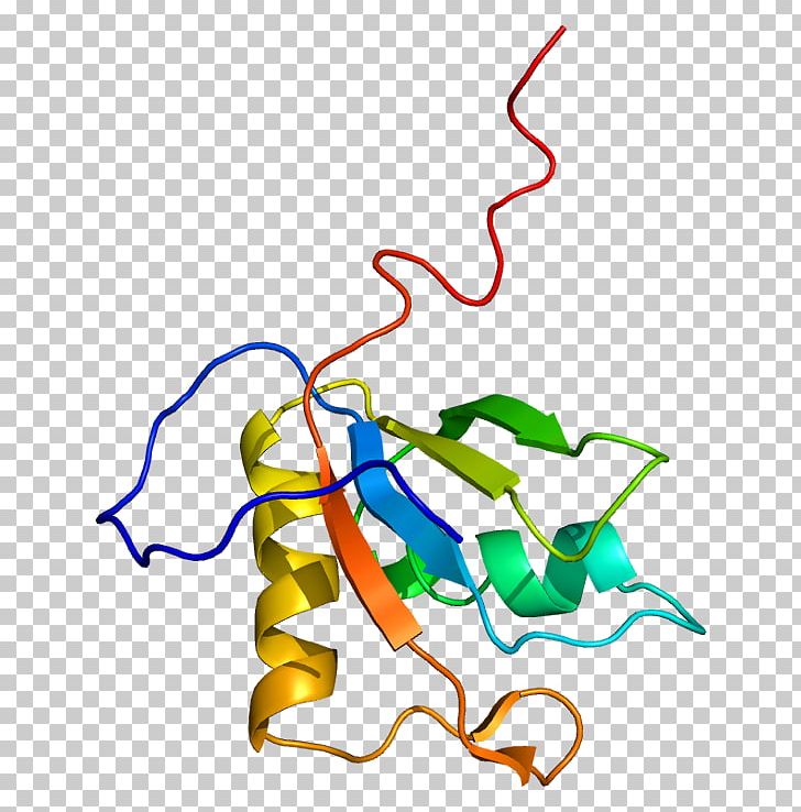 MATR3 Protein Gene Nuclear Matrix Chromosome 5 PNG, Clipart, Alternative Splicing, Area, Artwork, Cell Nucleus, Chromosome Free PNG Download