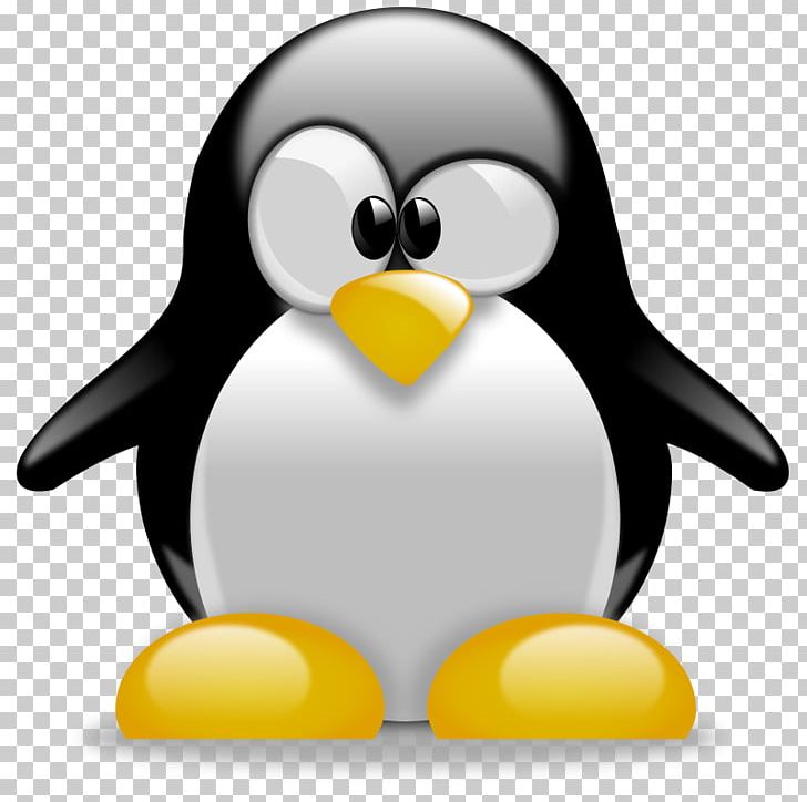 Tux Racer Penguin PNG, Clipart, Beak, Bird, Cartoon, Clip Art, Clipart Free PNG Download