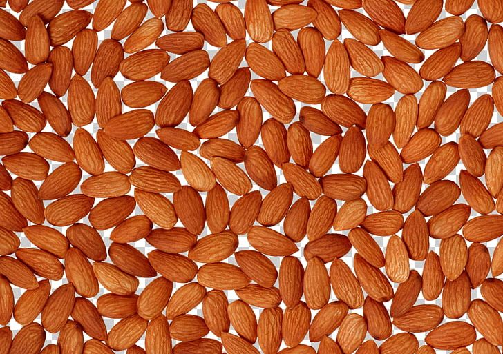 Almond Milk Nutrient Apricot Kernel PNG, Clipart, Almond, Almond Meal, Almond Nut, Almond Nuts, Almonds Free PNG Download