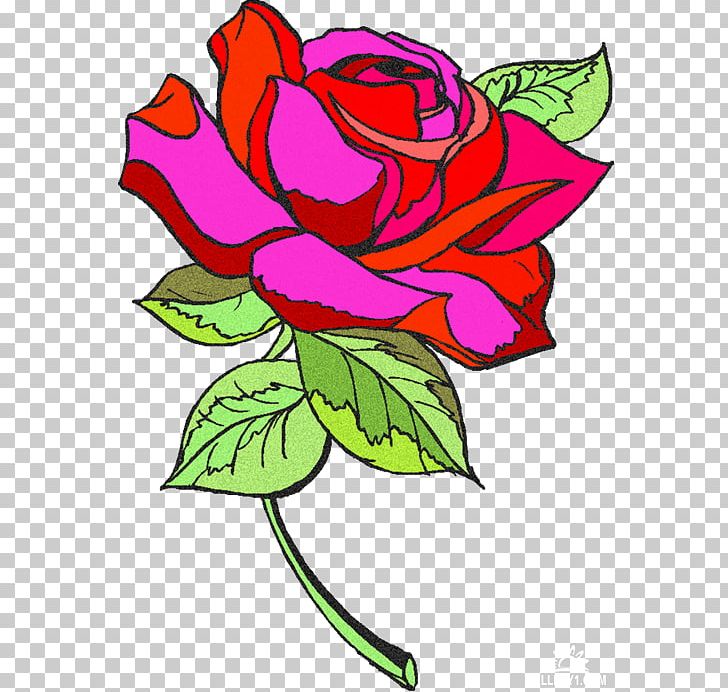 Floral Design Garden Roses Beach Rose Cut Flowers PNG, Clipart, Beach Rose, Bud, Cut Flowers, Flora, Floral Design Free PNG Download