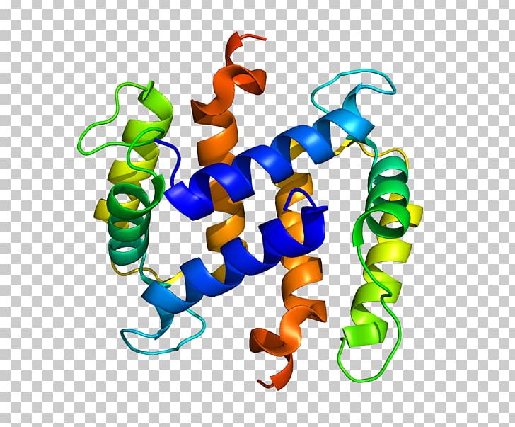 S100 Protein EF Hand S100A2 Calcium-binding Protein PNG, Clipart, Alpha Helix, Animal Figure, Artwork, Calcium, Calciumbinding Protein Free PNG Download