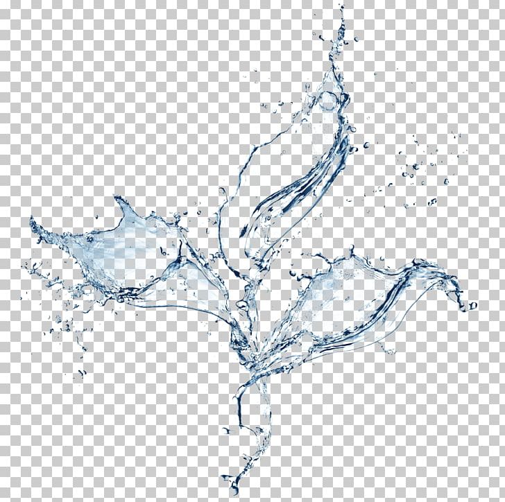 Water Desktop Liquid PNG, Clipart, Artwork, Black And White, Branch, Chemical Polarity, Color Free PNG Download