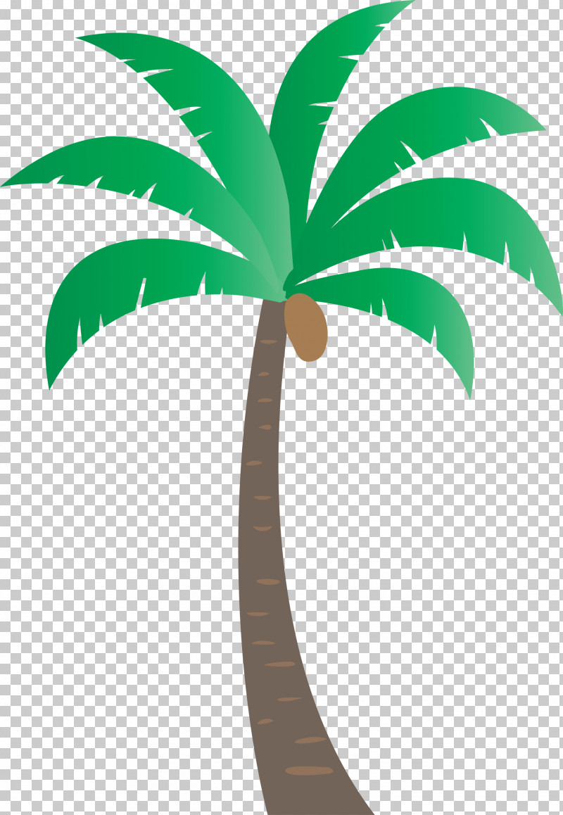 Palm Trees PNG, Clipart, Beach, Biology, Cartoon Tree, Coconut, Flowerpot Free PNG Download
