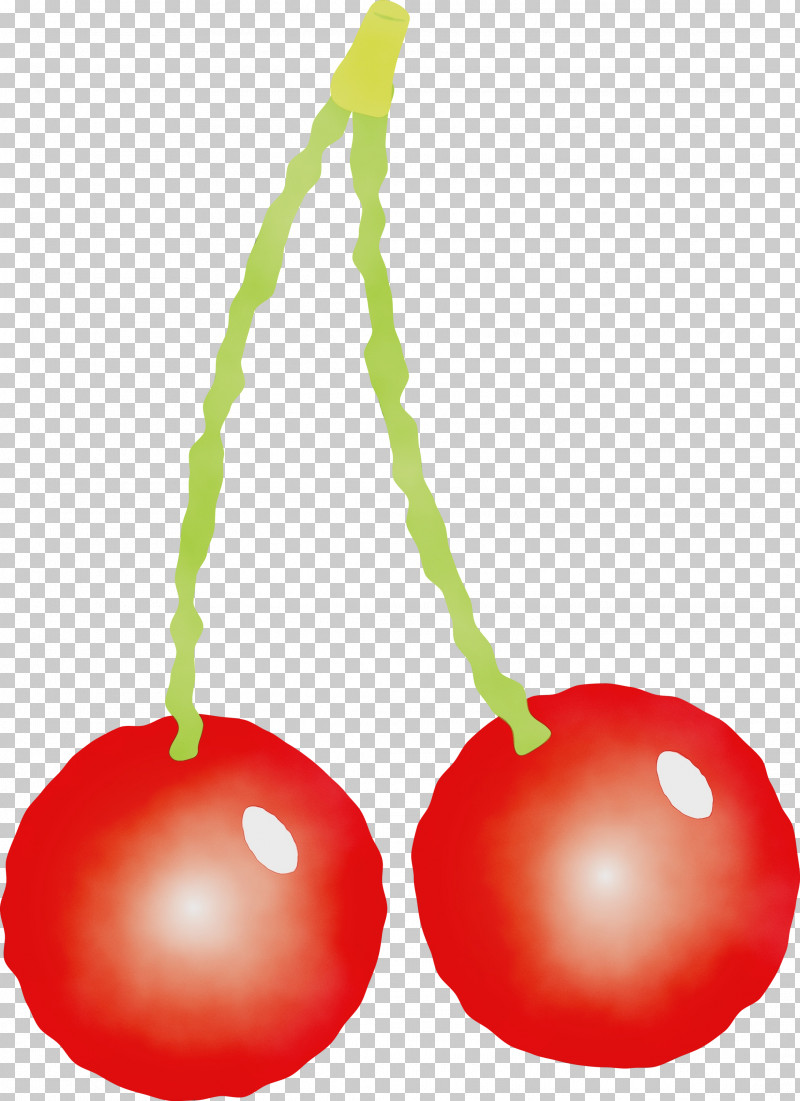 Cherry Fruit Plant Drupe PNG, Clipart, Cherry, Drupe, Fruit, Paint, Plant Free PNG Download