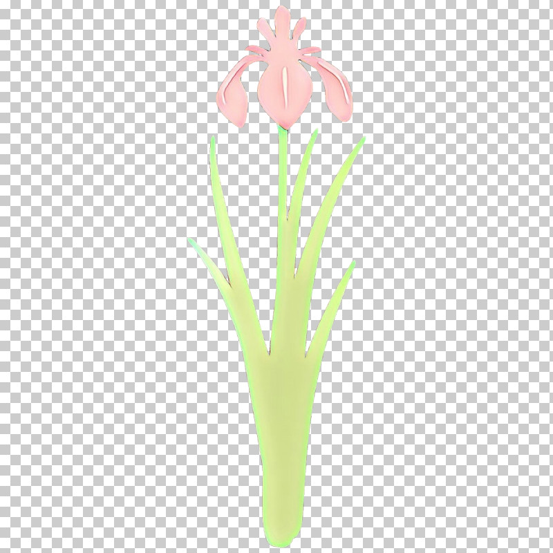 Flower Plant Grass Pedicel Cut Flowers PNG, Clipart, Cut Flowers, Flower, Grass, Iris, Pedicel Free PNG Download