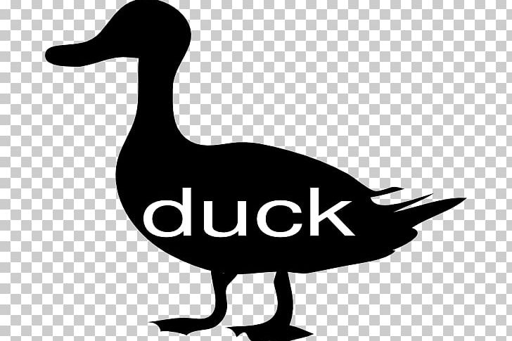 Duck Mallard American Pekin Bird Goose PNG, Clipart, American Pekin, Anatidae, Animals, Artwork, Beak Free PNG Download