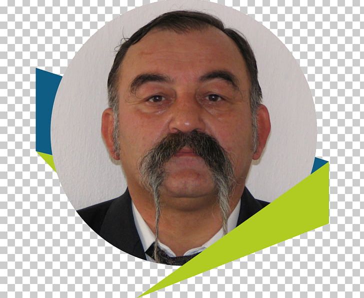 Gyula Illyés University Of Pécs Faculty Of Cultural Sciences PNG, Clipart, Assistant Professor, Beard, Chin, Elder, Facial Hair Free PNG Download