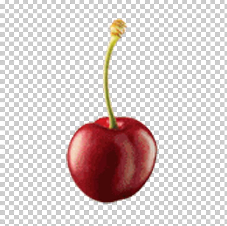 Ice Cream Cherry Gratis PNG, Clipart, Accessory Fruit, Apple, Cerise, Cherries, Cherry Blossom Free PNG Download