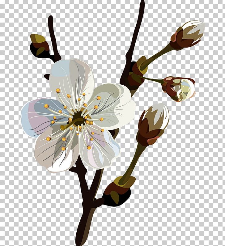 Blossom Flower Floral Design PNG, Clipart, Art, Ayraclar, Blossom, Branch, Cherry Blossom Free PNG Download