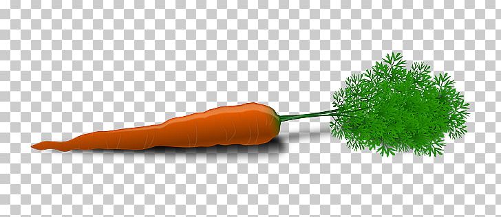 Carrot PNG, Clipart, Carrot, Carrot Clipart, Computer Icons, Desktop Wallpaper, Download Free PNG Download