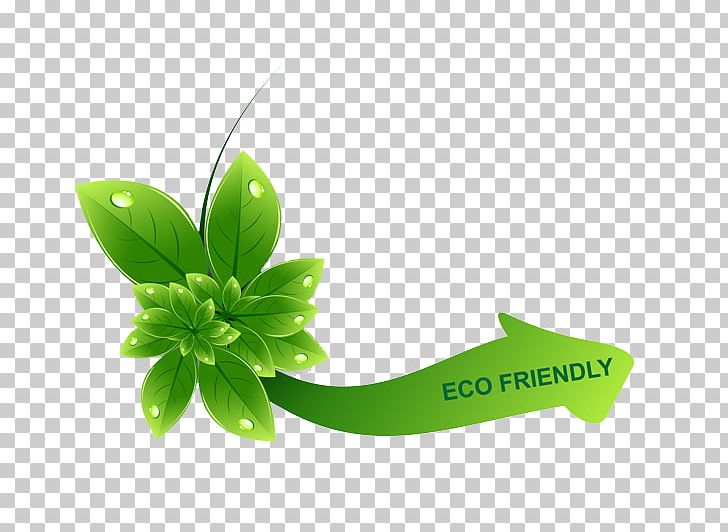 Green Leaf Solar Water Heating Ecology PNG, Clipart, Business, Color, Ecology, Energy, Energy Conservation Free PNG Download