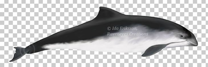 Striped Dolphin Common Bottlenose Dolphin Short-beaked Common Dolphin Rough-toothed Dolphin Tucuxi PNG, Clipart, Animals, Bottlenose Dolphin, Fauna, Mammal, Marine Mammal Free PNG Download