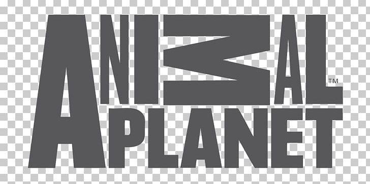 Animal Planet Television Channel Television Show Logo PNG, Clipart, Angle, Animal Planet, Animal Planet Hd, Animal Planet Lve, Black Free PNG Download