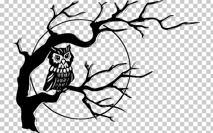 Black-and-white Owl Drawing PNG, Clipart, Animals, Barn Owl, Bird, Branch, Cartoon Free PNG Download
