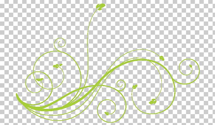 Cut Flowers Milk Veganism Plant PNG, Clipart, Art, Circle, Color, Cuisine, Cut Flowers Free PNG Download