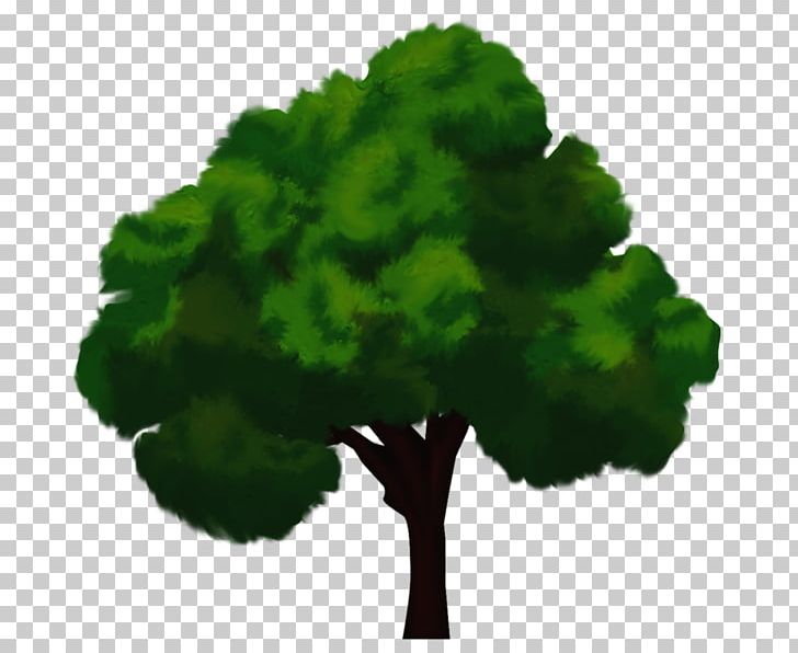 Tree High-definition Television PNG, Clipart, Agac Resimleri, Animation, Cansu, Color, Download Free PNG Download