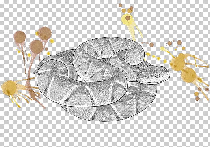 Bothrops Atrox Pygmy Rattlesnake Venomous Snake Bothrops Jararaca PNG, Clipart, Animals, Bothrops, Bothrops Jararaca, Captopril, Golden Lancehead Free PNG Download