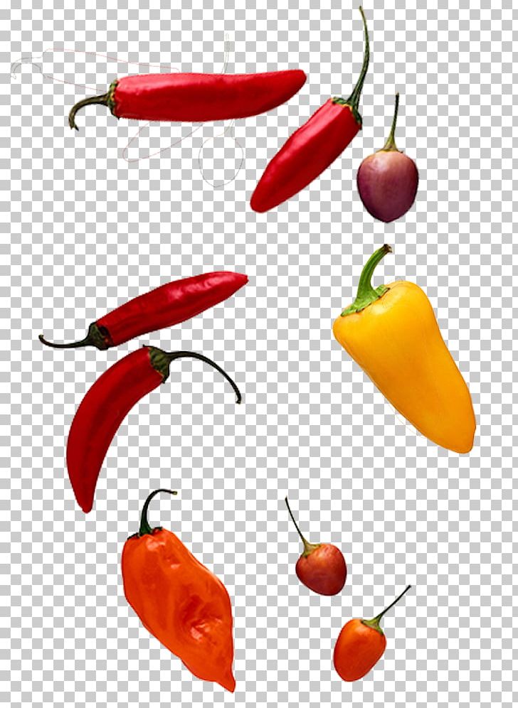 Chili Pepper Computer File PNG, Clipart, All Kinds, Bell Peppers And Chili Peppers, Black Pepper, Cartoon Chili, Chili Free PNG Download