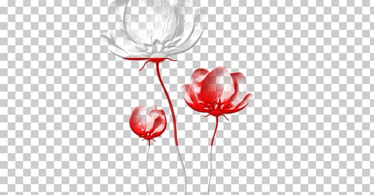 Desktop PNG, Clipart, Balloon, Computer Wallpaper, Desktop Wallpaper, Drinkware, Editing Free PNG Download