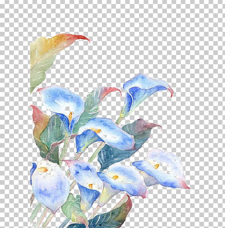 Watercolor Painting Flower Illustration PNG, Clipart, Art, Arumlily, Blue, Cut Flowers, Decoration Free PNG Download