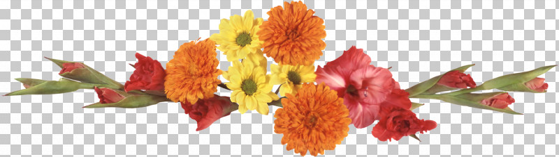 Flower Border Flower Background Floral Line PNG, Clipart, Cut Flowers, English Marigold, Floral Line, Flower, Flower Background Free PNG Download