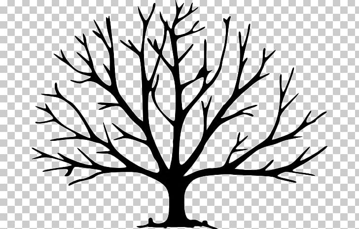 Leaf Tree Drawing Branch PNG, Clipart, Artwork, Autumn Leaf Color, Black And White, Branch, Color Free PNG Download